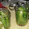 Cucumber Parisian Pickling 